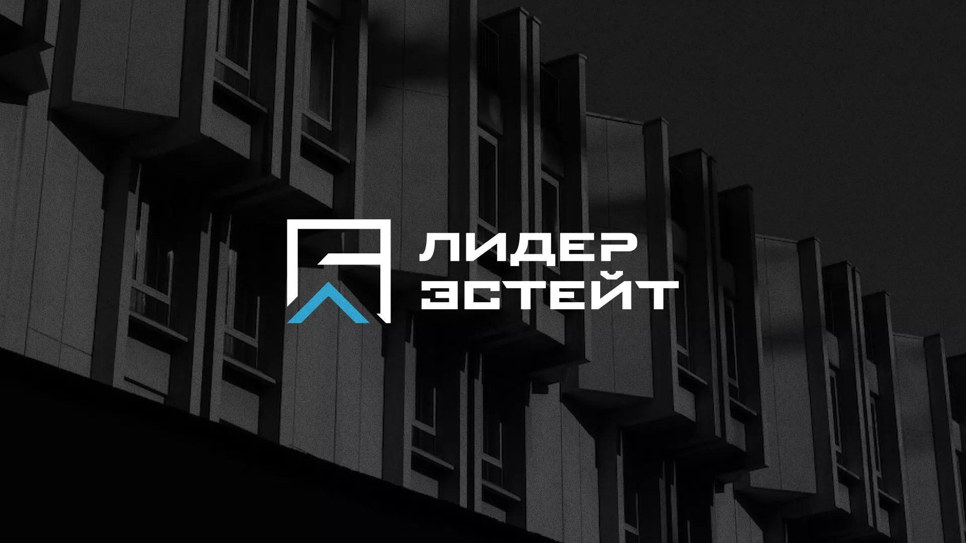 Разработка логотипа агентства недвижимости «Лидер Эстейт» в Котельниково
